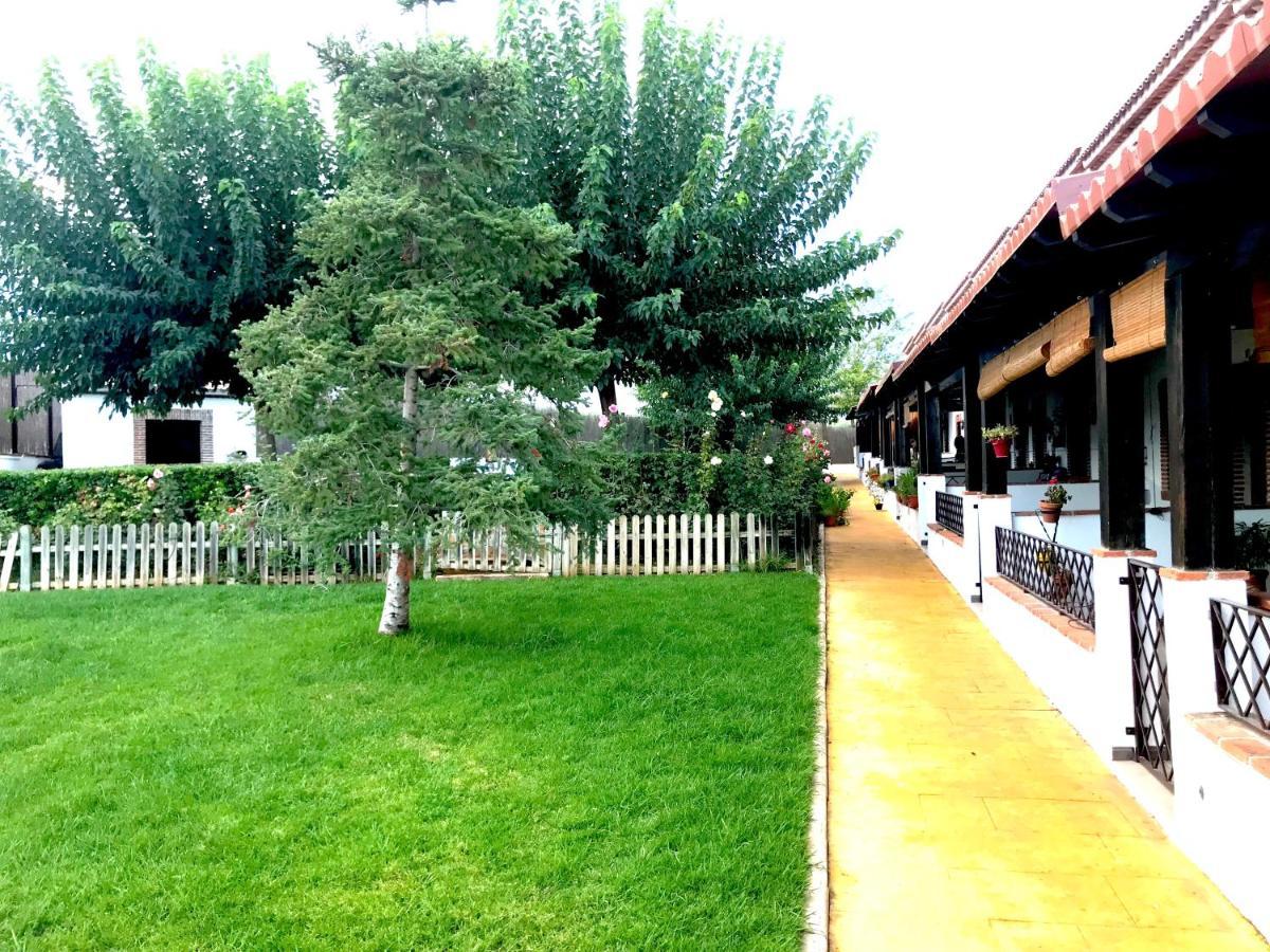 Apartamento Rural Villa Aurora Luque Exterior foto